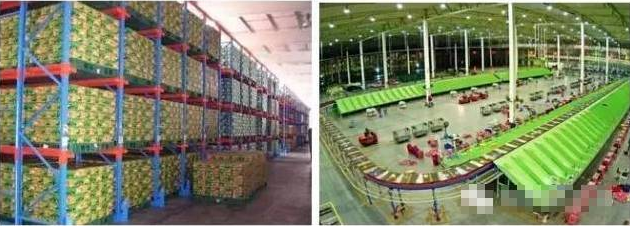 電商物流VS傳統物流，誰更勝一籌？